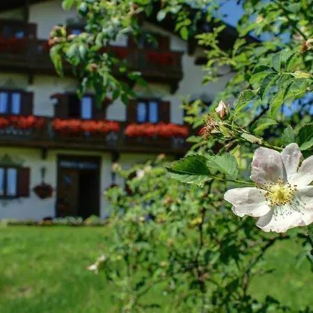 Oberreiterhof Farm stay *