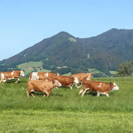 Oberreiterhof * Bad Wiessee