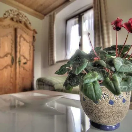 Farm stay Oberreiterhof