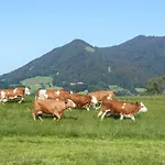 Oberreiterhof * Bad Wiessee