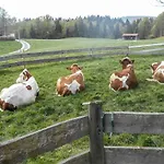 Oberreiterhof Séjour à la ferme *