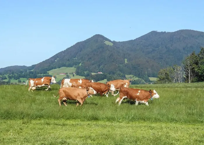 Oberreiterhof * Bad Wiessee